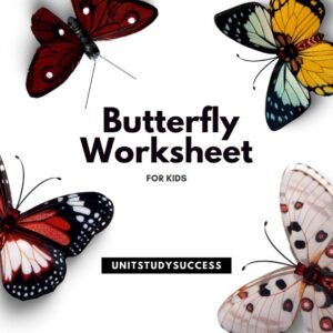 Butterfly Worksheet for Kids